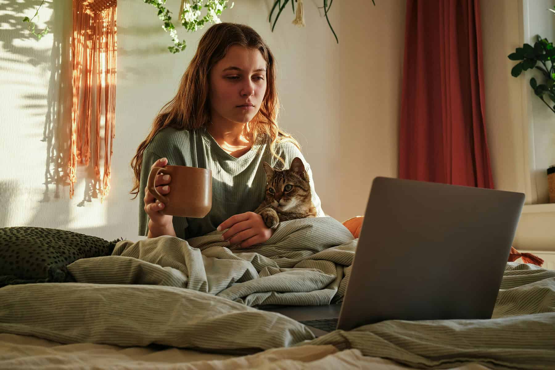Person sitting in bed holding a mug with a cat in their lap while looking at a laptop in a sunlit bedroom.
