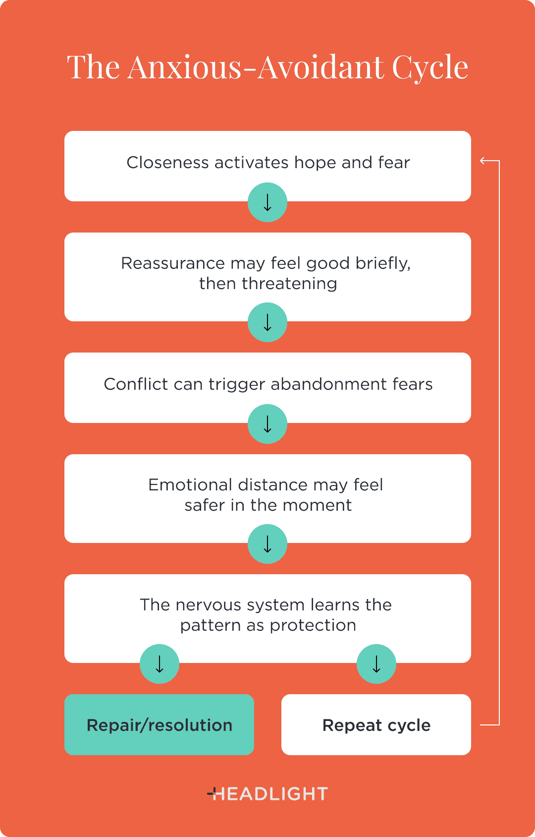 The anxious-avoidant cycle: Closeness activates hope and fear. Reassurance may feel good briefly, then threatening. Conflict can trigger abandonment fears. Emotional distance may feel safer in the moment. The nervous system learns the pattern as protection. From there, the relationship either moves toward repair and resolution or repeats the cycle, reinforcing the same pattern.